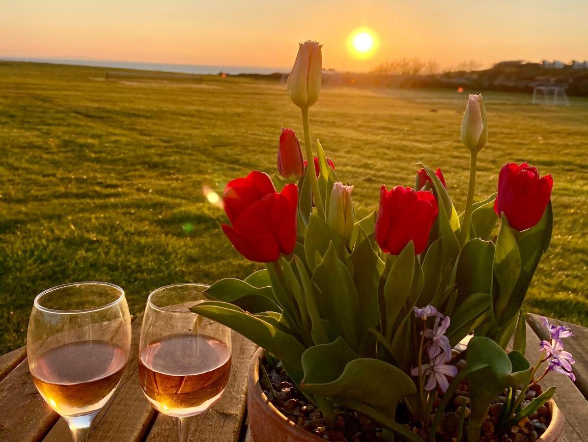 Bayview Self-catering Coastal In Rural West Wight Holiday home Freshwater
